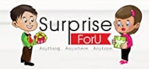 SFU E Com