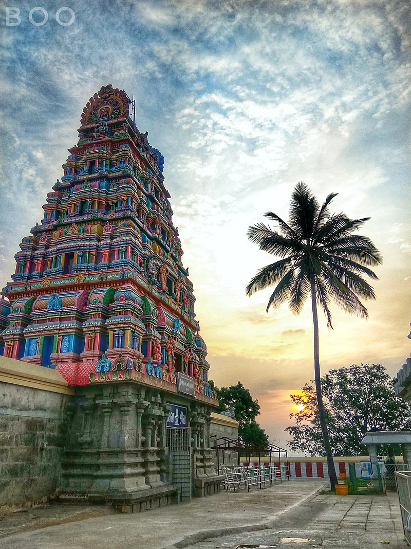 Hosur Online Shopping Site For Daily Essentials 