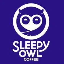Sleepy Owl